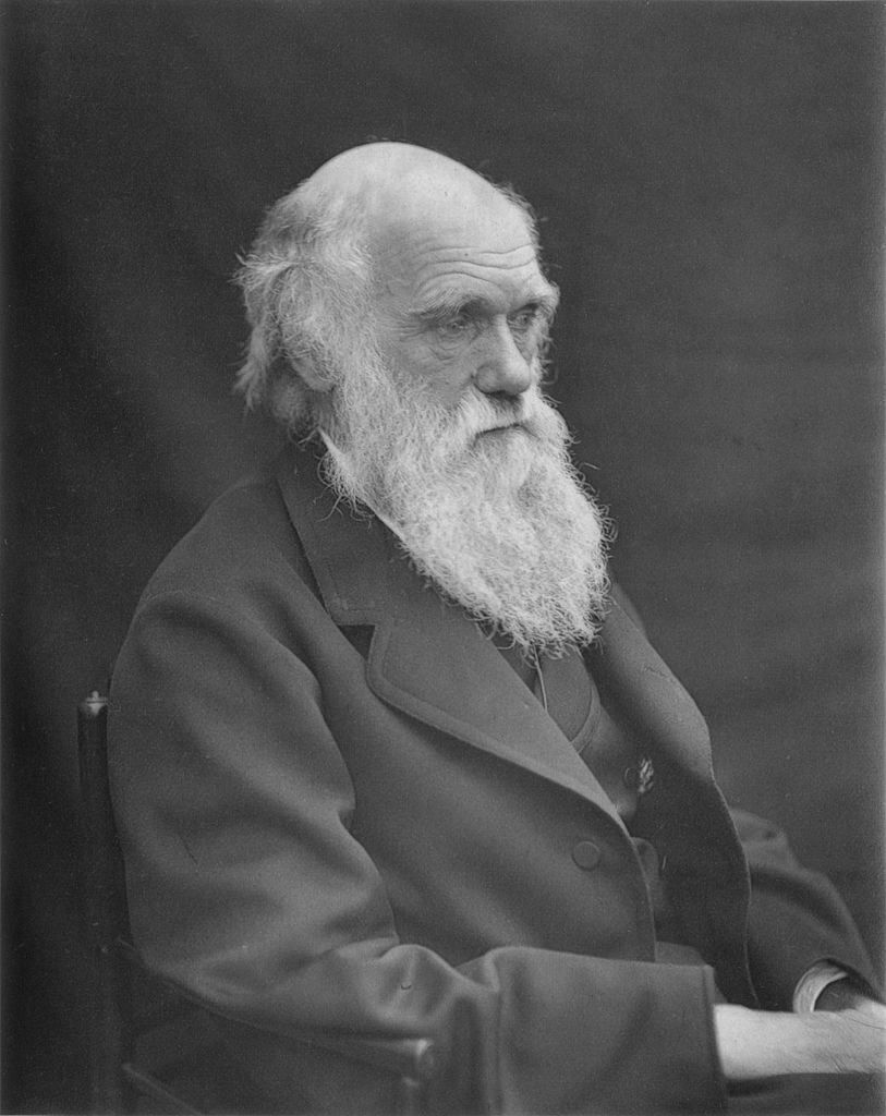 達爾文（Charles Robert Darwin）肖像照。圖/取自wikimedia。