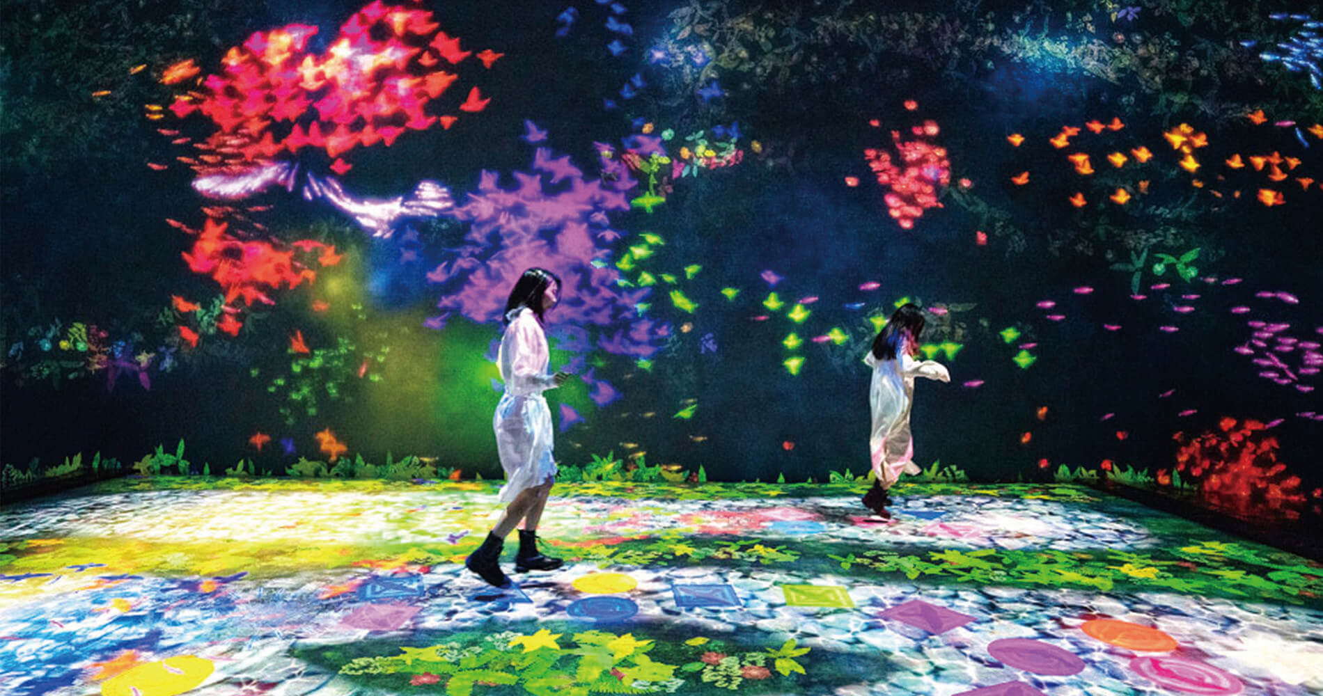 Teamlab未來遊樂園 與花共生的動物 今夏最絕美 最能體驗共創理念的沉浸式互動藝術展來了 非池中藝術網