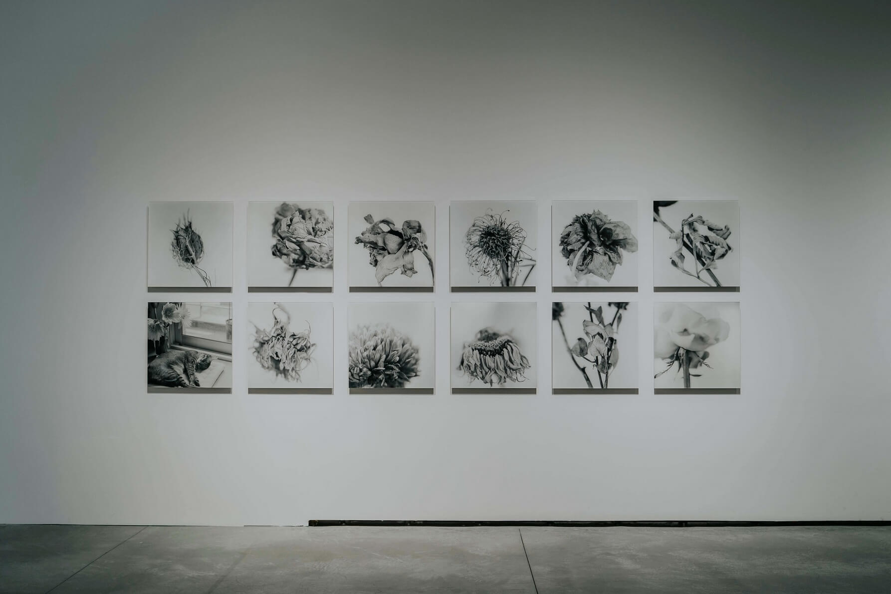 圖說：黃俞綾的黑白攝影作品。圖/臺南市美術館提供