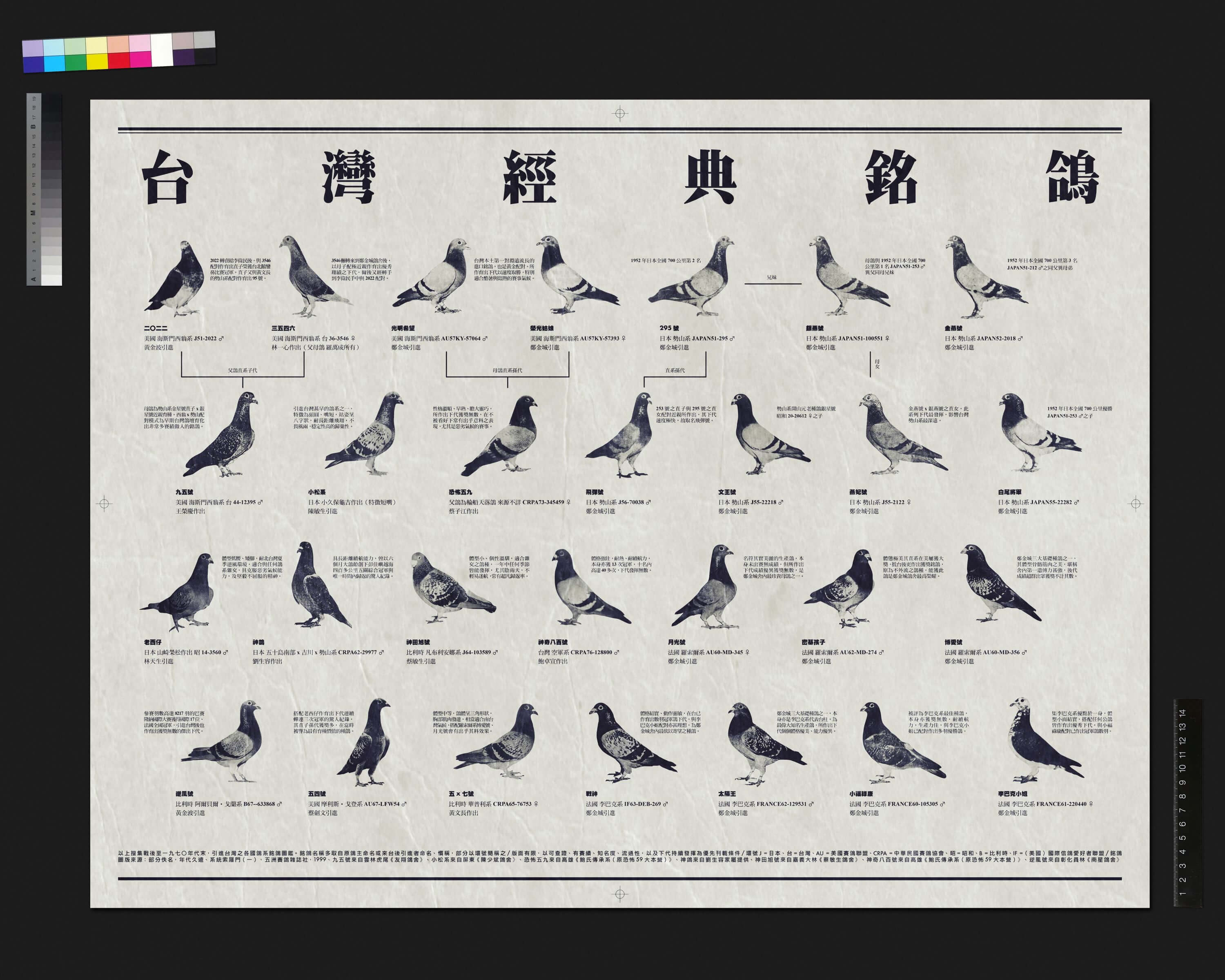 李立中《半山傳奇》之〈台灣經典銘鴿〉，2023，檔案、書寫、數位版畫，76×58公分，圖片由藝術家提供。
