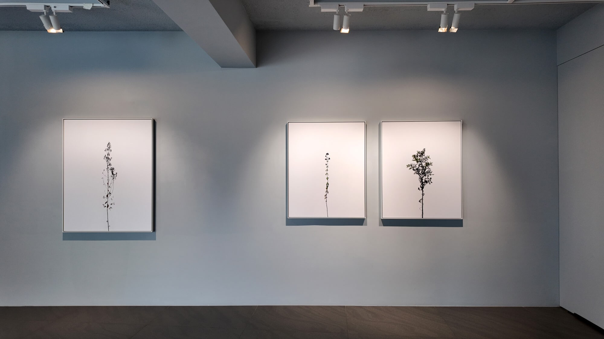 如時–時間是萬物的尺度 As Time: Time is the measure of all things - 非池中藝術網
